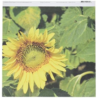 Imagem de Crafter's Companion Papéis fotográficos McRice 30,48 x 30,48 cm Girassol único 25 por pacote