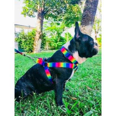 Imagem de kit Coleira Peitoral Guia e Cinto de Segurança para Cães e Gatos Pet M