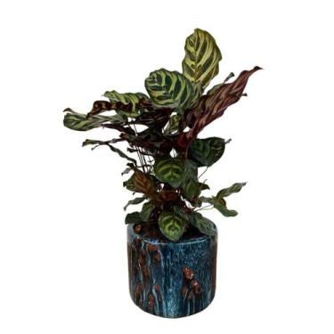 Imagem de Vaso Cachepot de Mesa 20cm Redondo de Cerâmica Texturizada - Verde Gar