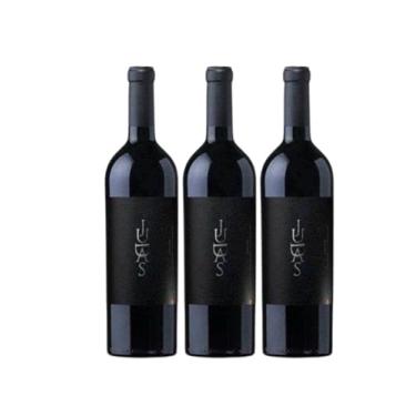 Imagem de Vinho Argentino Judas Malbec 750 mL CX/3