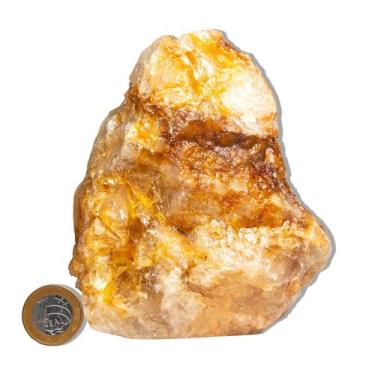 Imagem de 01 Hematoide Amarelo Pé Serrado 15 a 25cm 1,5 a 2kg Tipo B - Cristaisd