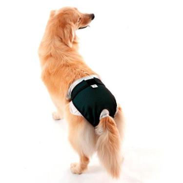 Imagem de Protetor Higiênico P/ Fralda E Cio Cão Reutilizável - PET MED, Verde, 