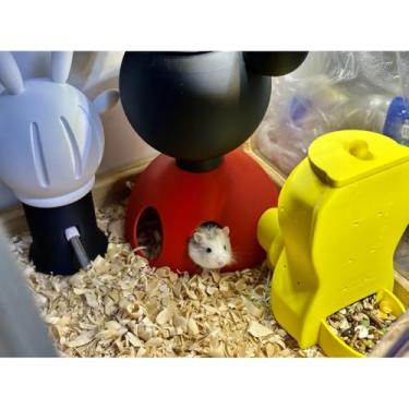 Imagem de Casinha Temática para Hamster com Design Criativo, Alimentador Automático e Sistema de Resfriamento Integrado