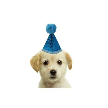 Imagem de Chapéu de Aniversário para Cachorro com Brilho e Pompom – Acessório Festivo Reutilizável(AZUL)