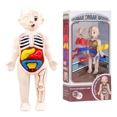 Imagem de Boneco Corpo Humano 3d Educativo Infantil Órgãos Removíveis