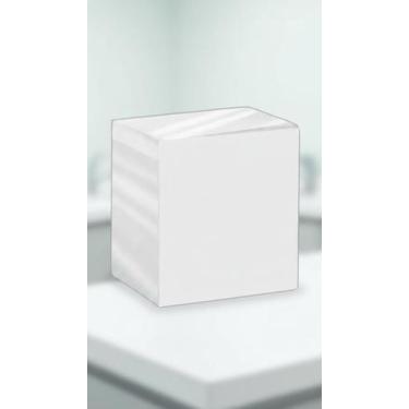Imagem de Toalhas Descartáveis Higiene Corporal 100 Unidades - Congratulations S