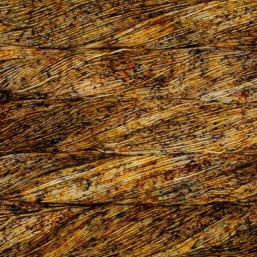 Imagem de Malabrigo Fio tingido à mão Mechita (710 - Deserto)