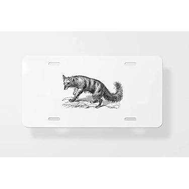 Imagem de Aardwolf or Proteles Cristatus Vintage Gravação 2 Placa Capa - Novidade Capa para Placa de Licença para Carro - Moldura para Placa de Licença 15 x 30 cm