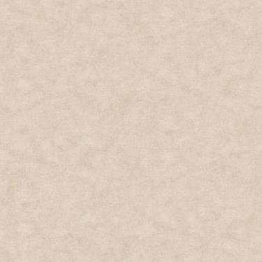 Imagem de Papel De Parede Nature Pedra Bege Tonu8008