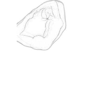 Imagem de Livro Graciosidade E Estagnação: Ensaios Escolhidos - CONTRAPONTO EDIT