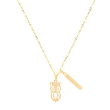 Imagem de Colar Pingente Pedagogia Coruja Professora Folheada Ouro 18k - Milena 