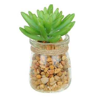 Imagem de Vaso Com Suculenta Folha Média Verde Escuro 10X7 Cm - Du0027Rossi