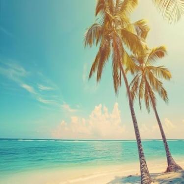 Imagem de Vela Ngk Bm6A Náutica E Pequenos Motores Champion - Elgin - Haupt - Panther (Consultar Catálogo Para Outras Aplicações)