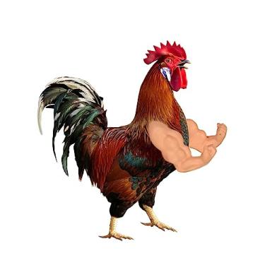 Imagem de YUKEI Braços de galinha para galinhas – Divertido, durável, brinquedo artificial para braços musculares – perfeitos para festas, sessões de fotos e brincadeiras