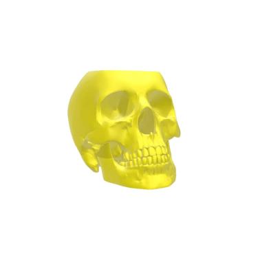 Imagem de Caveira - Vaso Cactos ou Suculentas
