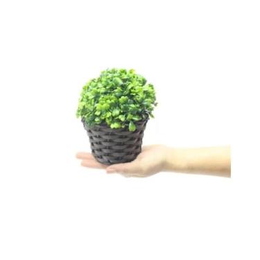 Imagem de 1 Un Mini Arranjo Folhagem Buchinho Verde 13cm Artificiais Vaso Junco 