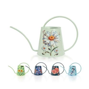 Imagem de Berry&Bird Regador Para Plantas Domésticas - Interno E Externo, 1/2 Galão, Lata De Água Aço Inoxidável Com Bico Longo, Decoração Jardim Flores, Bonsai, Suculentas, Jardinagem, Garrafa Grande (Bellis