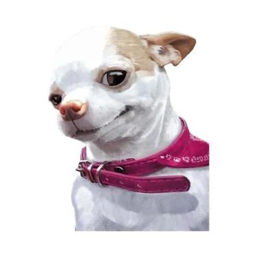 Imagem de Pôster De Arte De Parede Com Meme Engraçado De Macaco, Pato, Cachorro,