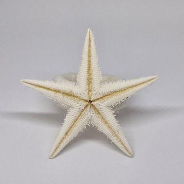 Imagem de Porta Guardanapo Estrela do Mar Natural - Decor Madame Blue