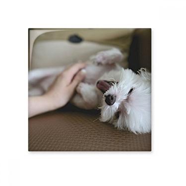 Imagem de Adesivo brilhante de azulejo de cerâmica para animais de estimação de cachorro branco
