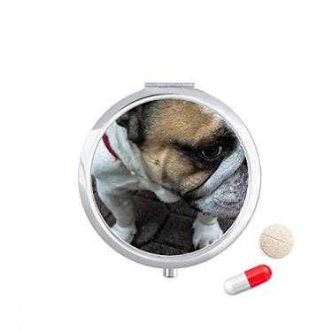 Imagem de Caixa de comprimidos Bulldog para fotografias de animais de estimação, caixa de armazenamento de remédios