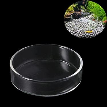 Imagem de Bilindasly 1 prato de alimentação de camarão de aquário de 60 mm/65 mm, tigela redonda de vidro, alimentador de peixe, répteis, prato de comida e água, bandeja transparente