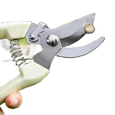 Imagem de Tesoura De Poda Jardinagem Árvores Plantas Bonsai