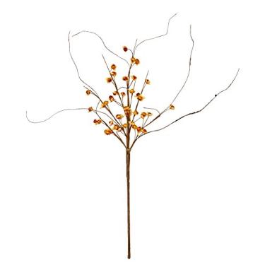 Imagem de Worth Imports Spray Bittersweet 50,8 cm