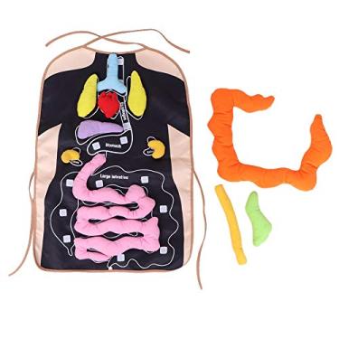 Imagem de Avental de Órgão 3D Avental de Pelúcia Anatomia Avental Fisiológico Crianças Órgãos do Corpo Humano Brinquedo de Conscientização