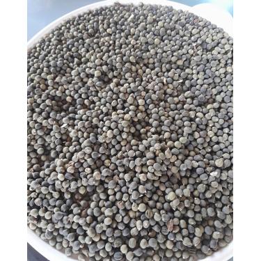 Imagem de 150 Sementes de Quiabo para Plantio Natural do Norte de Minas Gerais