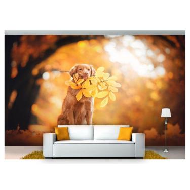 Imagem de Papel De Parede Animais Cão Folha Outono 3D Anm118