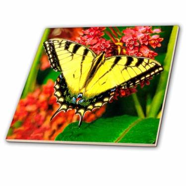 Imagem de 3dRose Cauda de andorinha de tigre - azulejo de cerâmica, 10 cm (ct_755_1)