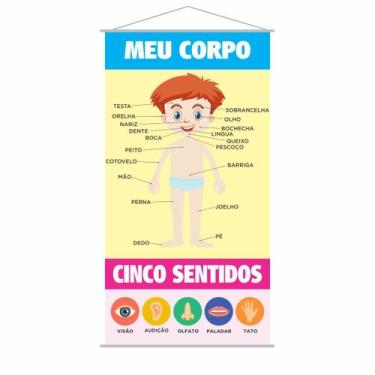 Imagem de Banner Pedagógico Escolar Meu Corpo Cinco Sentidos 120x65cm - PlimShop