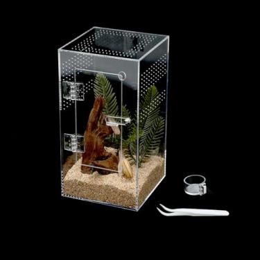 Imagem de CLarellara Gabinete Acrílico para Aranha Saltadora com Porta de Abertura Frontal, 13 x 13 x 23 cm, Terrário de Micro Habitat para Pequenas Árvores que Habitam Répteis, Aranhas e Invertebrados