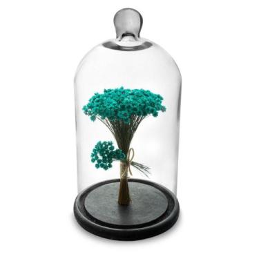 Imagem de Arranjo de Flores Secas na Cúpula V2 Redoma 30cm - Pense Flores, Varia