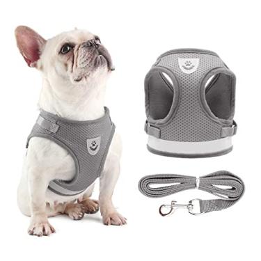 Imagem de Conjunto de Coleira e Guia para Cachorro com Reflexão Malha Ajustável Cães Pequenos Filhotes Gatos Passeio Ventilação Ar Cinta Fixação Rápida Fivela Liberação Ajuste Confortável