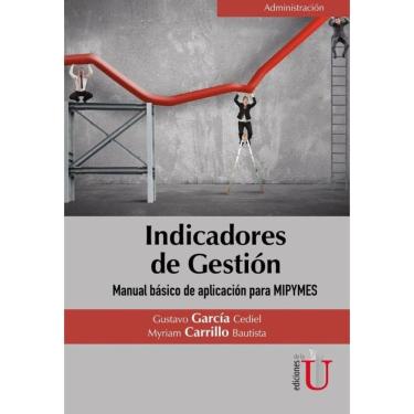 Imagem de Indicadores de gestión. Manual Básico de aplicación para MIPYMES - Espanhol