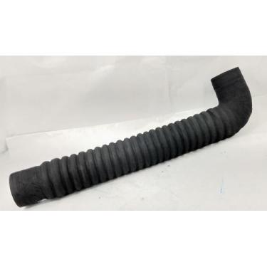 Imagem de Mangueira 225870 - JAMAICA