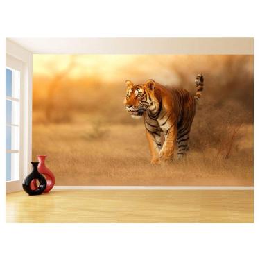 Imagem de Papel De Parede Animais Tigre Campo Sol Andar 3,5M Anm562