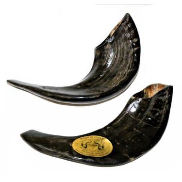 Imagem de Shofar Chifre De Carneiro De Tocar Preto 25 A 29 Cm - Israel