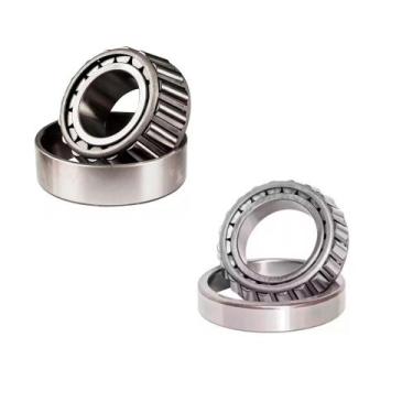 Imagem de Kit Rolamentos P/ Betoneira Rental Menegotti/Metalpama - Fox Tools