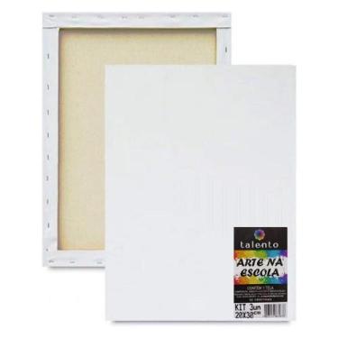 Imagem de Tela de Pintura Talento Chassis Simples Escolar 20x30 Kit C/ 3 Unidade