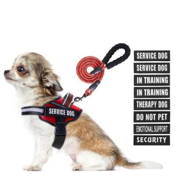 Imagem de Conjunto de colete e coleira Service Dog Animire in Training