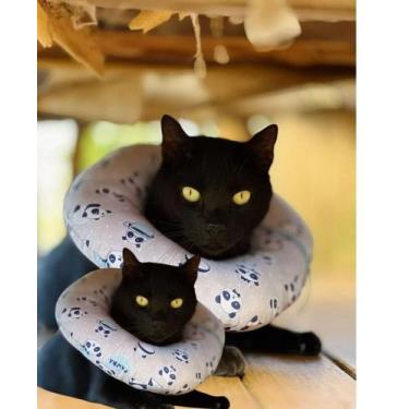 Imagem de Colar Elizabetano Cone Tecido Gatos Cães Pós Cirúrgico Pet - marinho