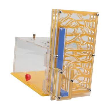 Imagem de MFMEXUL de Formigas Compacto de Acrílico Transparente com Alimentador, Ideal para Aprendizado Sobre Umidade, Ideal para Cozinha, Amarelo