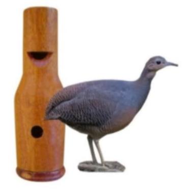 Imagem de Apito Pio De Madeira Chama E Atrai Pássaro - Ave Jaó 30