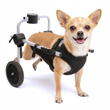 Imagem de Cadeira 2 Rodas Cachorro Colete Paraplégico Deficiente Idoso - Pet Bes