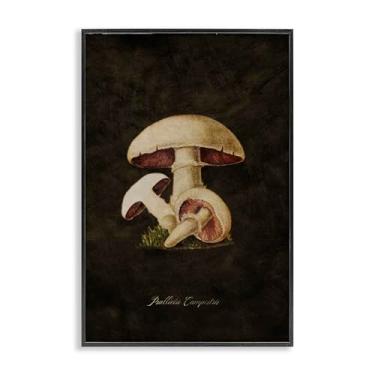 Imagem de Stupell Industries Arte de parede giclée emoldurada de cogumelo Portobello vintage por Tina Higgins Designs, Inc., moldura preta, 30,5 x 45,7 cm