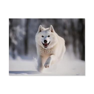 Imagem de HouLaiZhe Pôster de animal lobo branco correndo bela tela estética pôsteres decoração de sala de parede impressões de sala de galeria decoração de parede para quarto sala de estar escritório 24 x 32