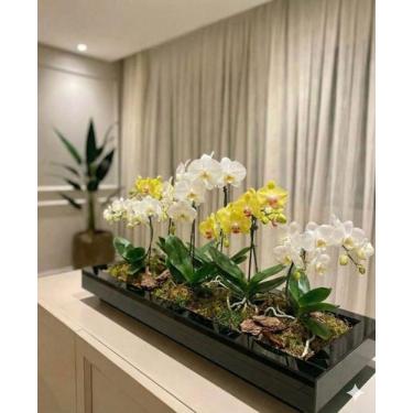 Imagem de Vaso Preto Vidro Plantas Luxo Decoração - Inova Decor